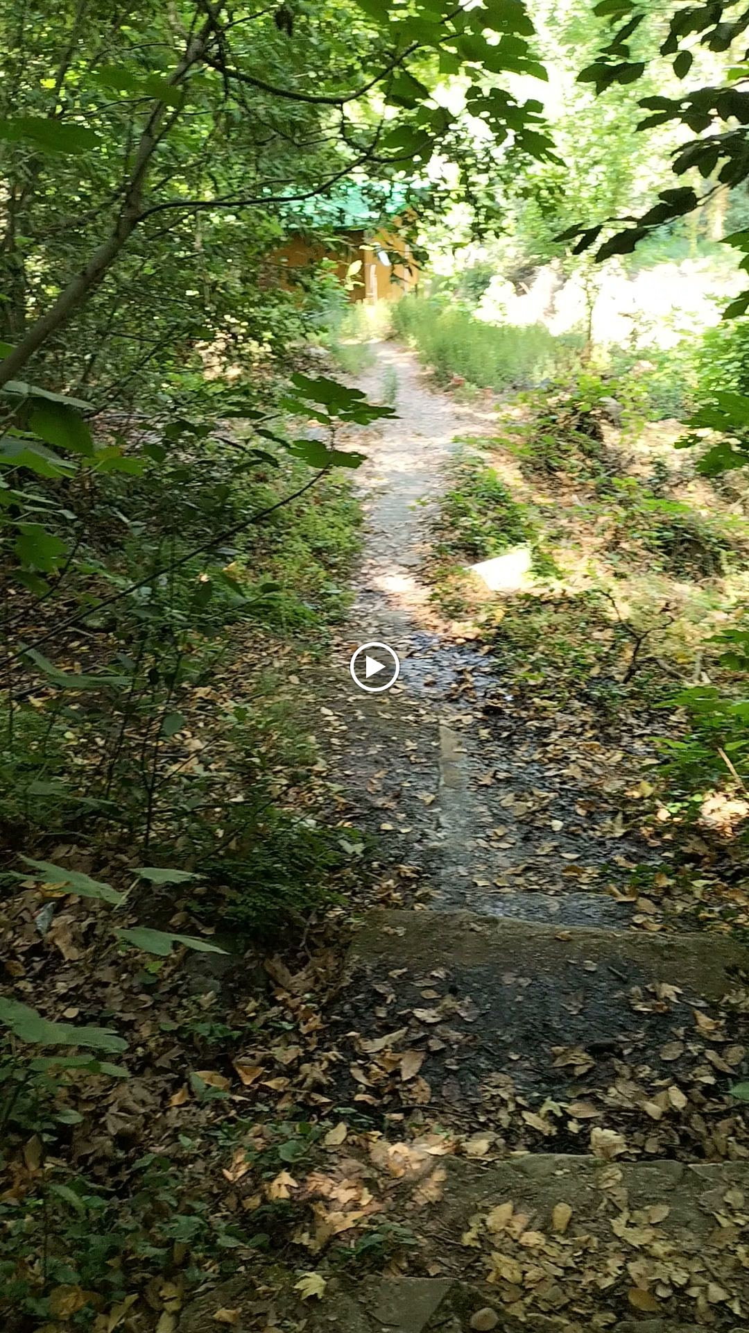 Şelale Cafe & Grill