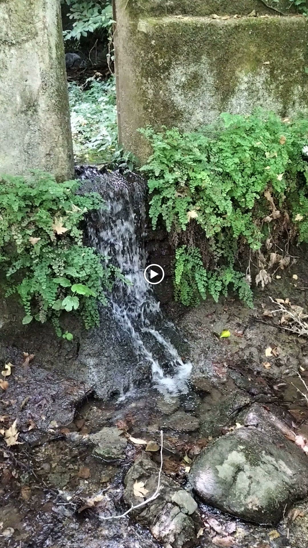 Şelale Cafe & Grill