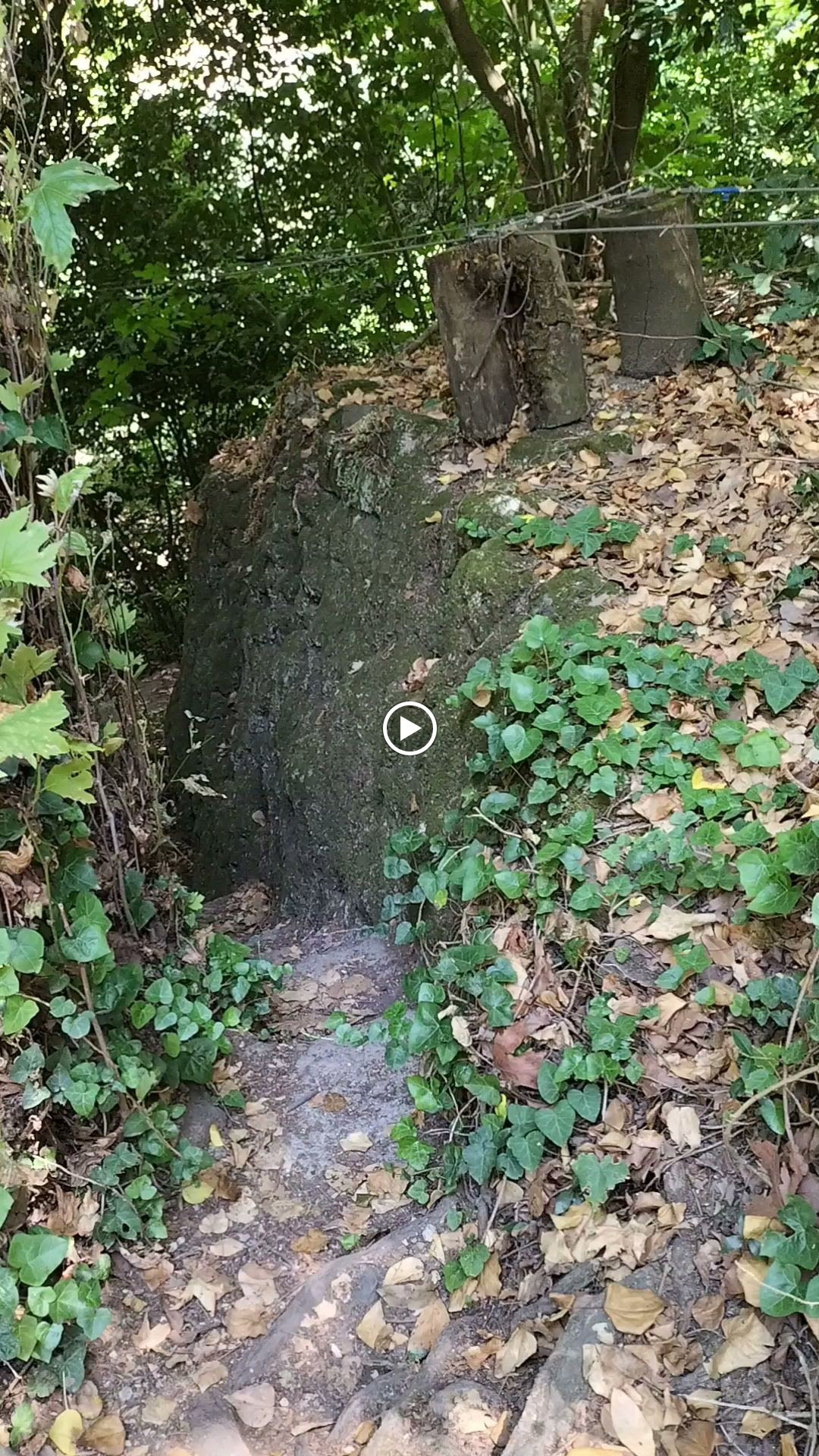 Şelale Cafe & Grill