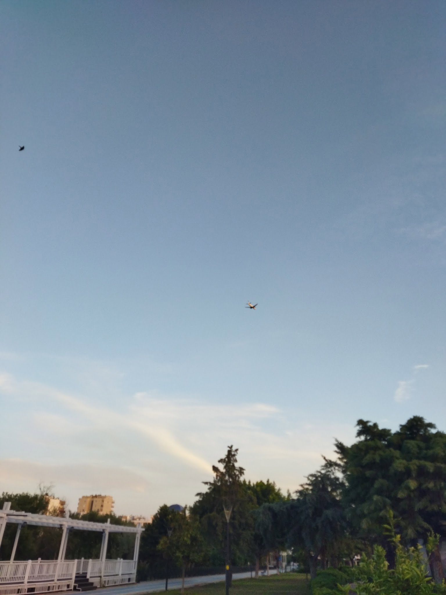 Şelale Cafe & Grill