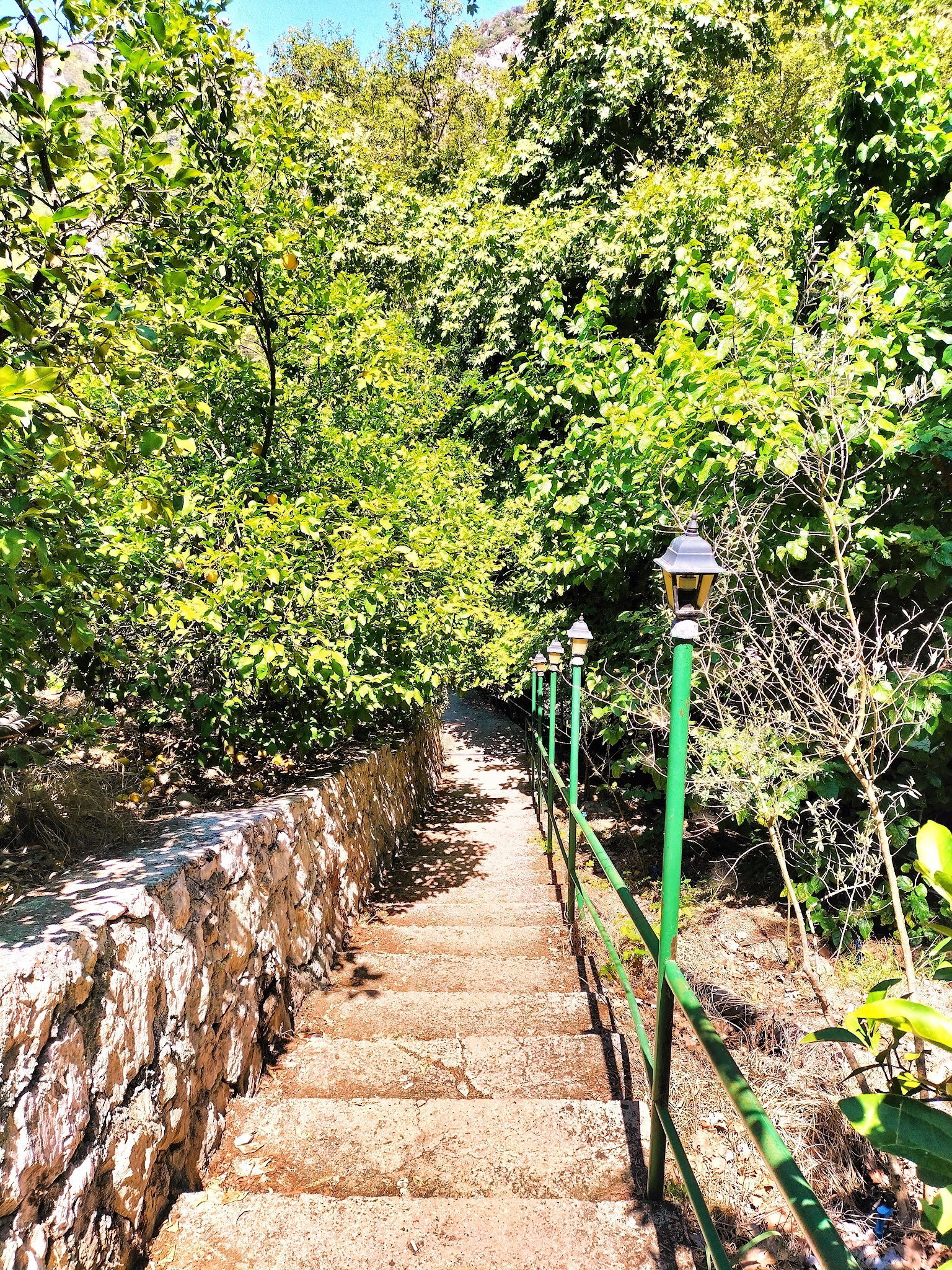 Şelale Cafe & Grill