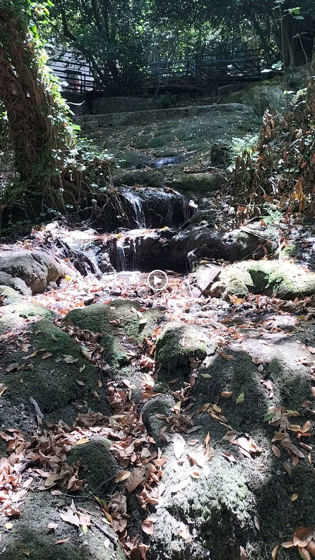 Şelale Cafe & Grill