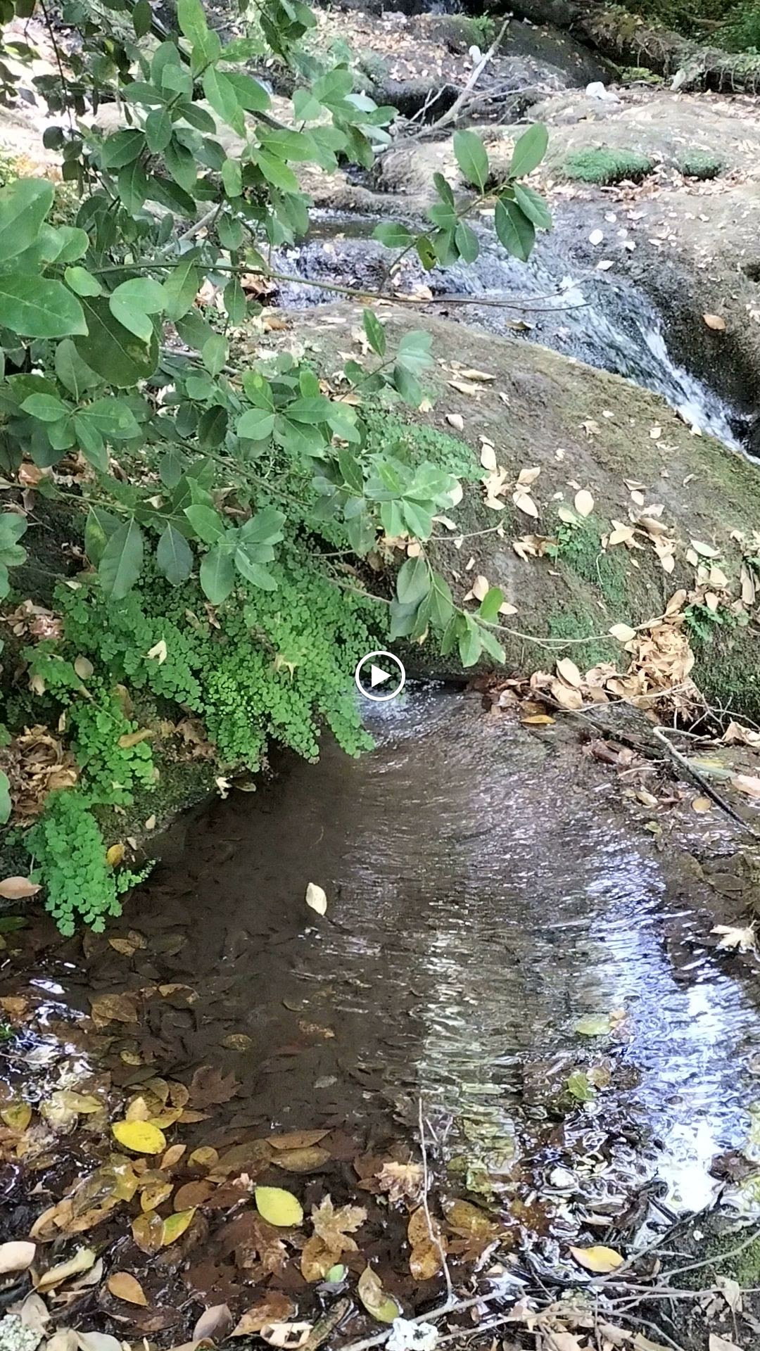 Şelale Cafe & Grill