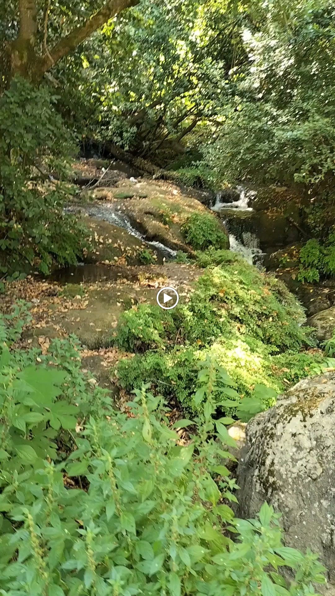 Şelale Cafe & Grill