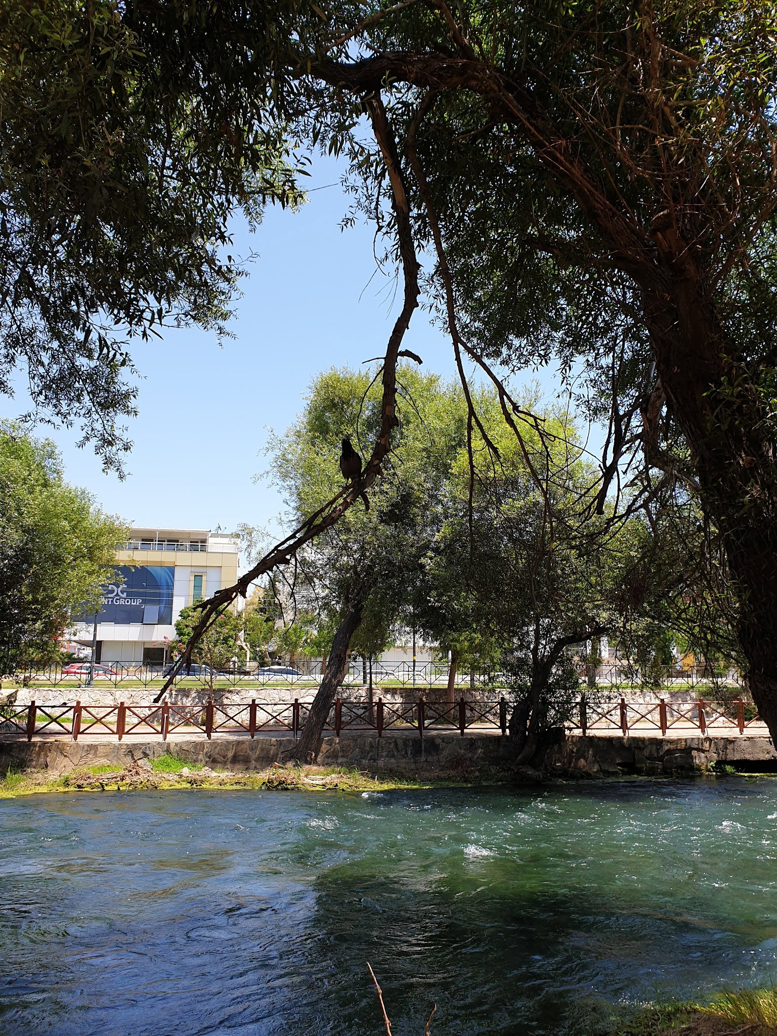 Şelale Cafe & Grill