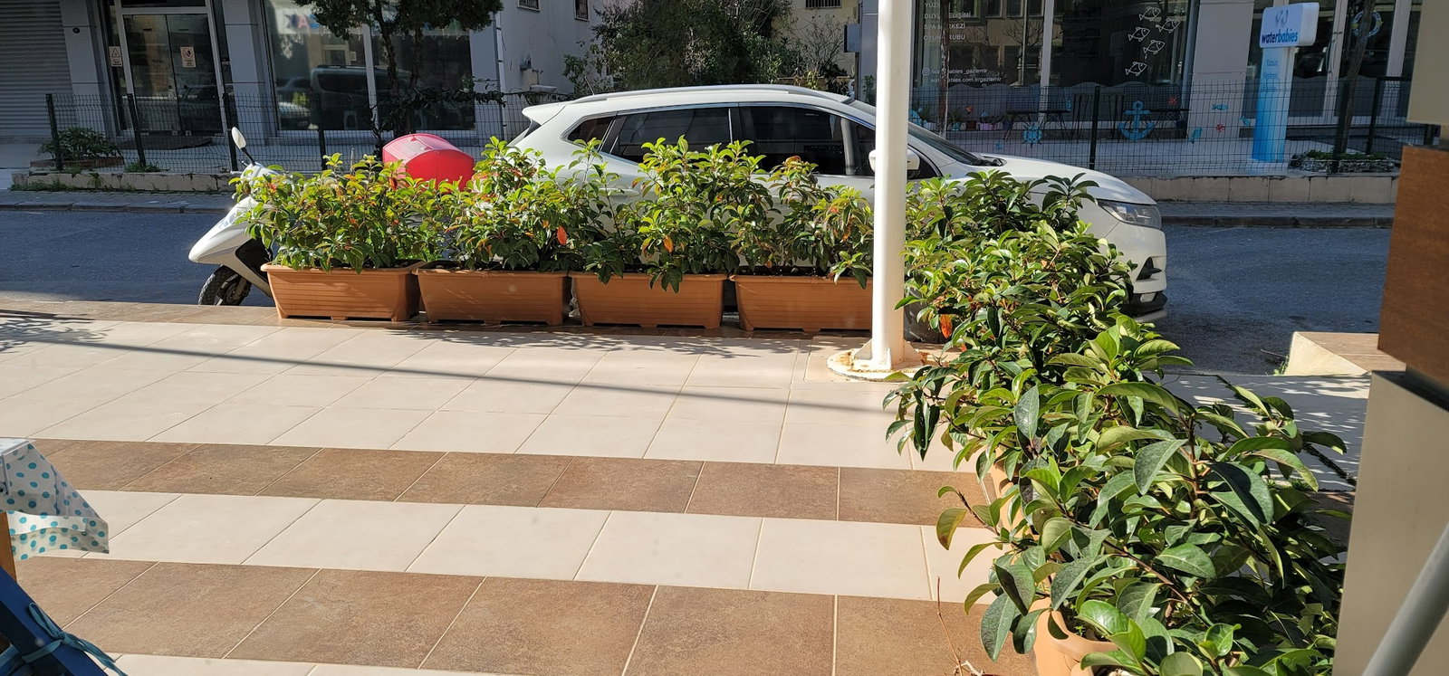 Teyzoş Mantı & Çiğ Börek