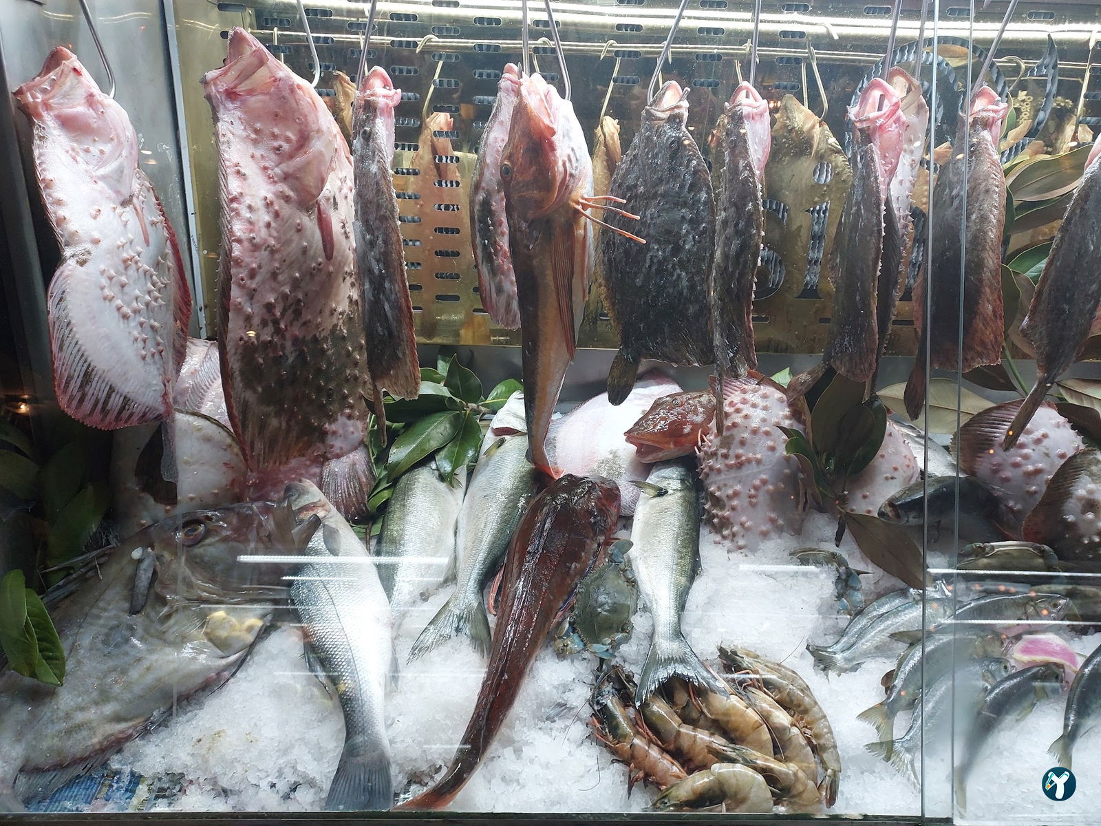 Misina Balık Restaurant