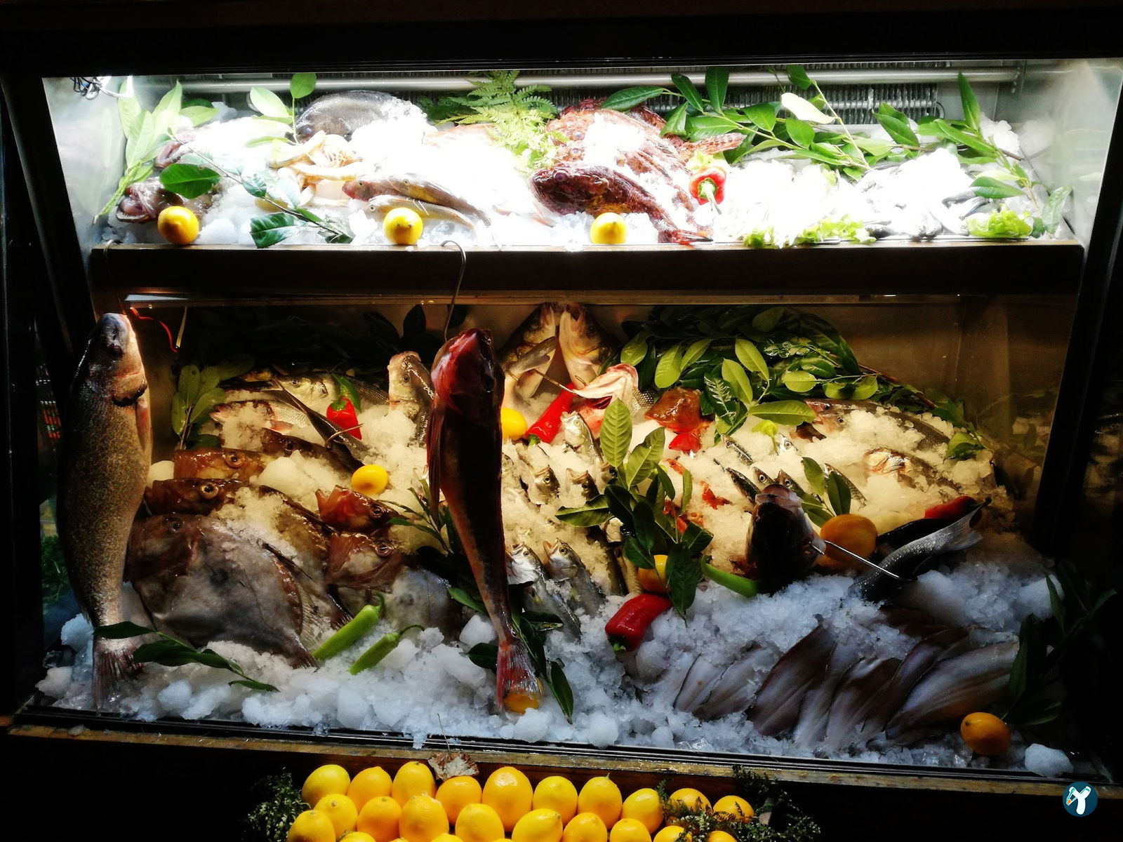Misina Balık Restaurant