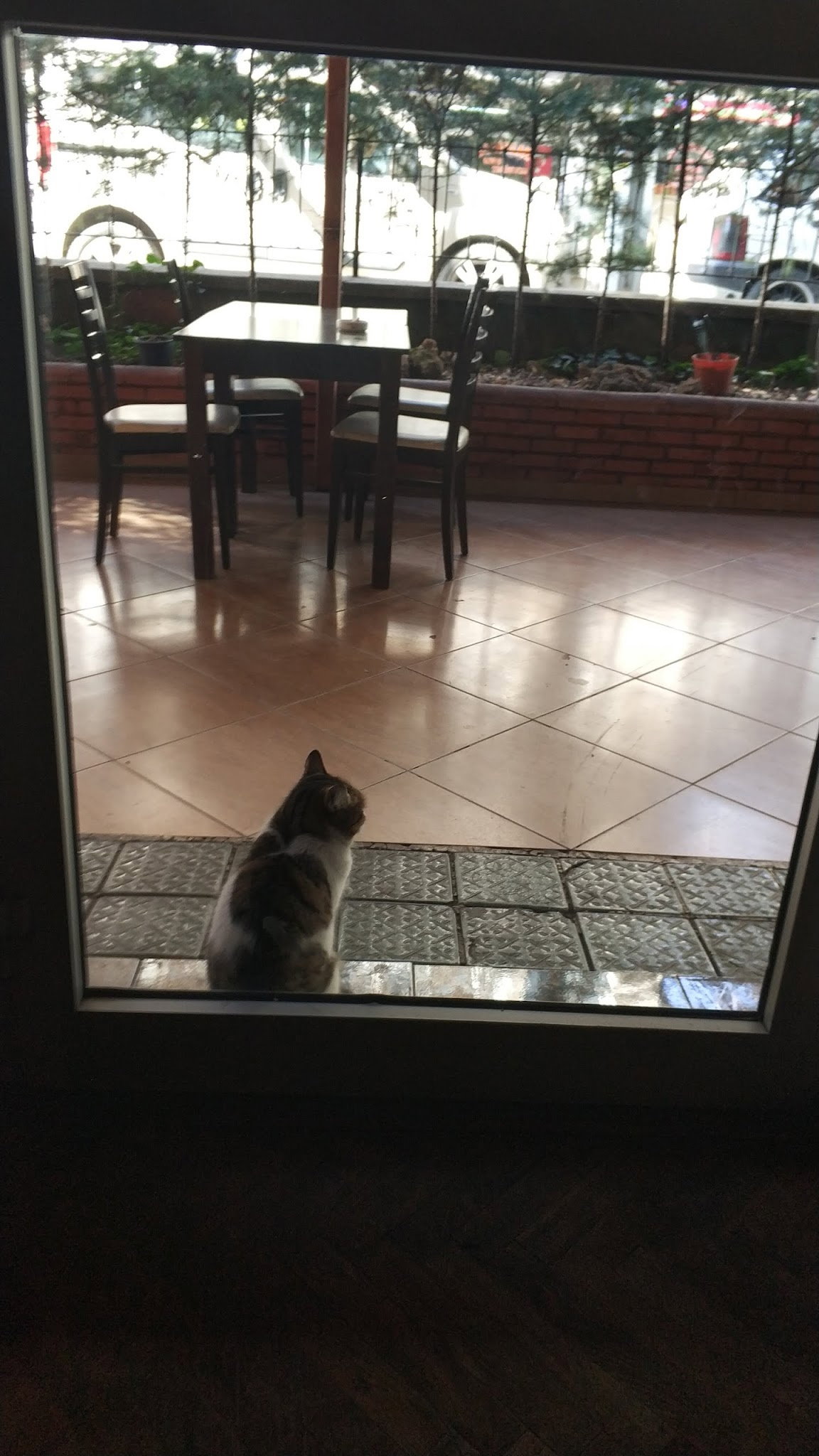 Kibris Evi Restaurant