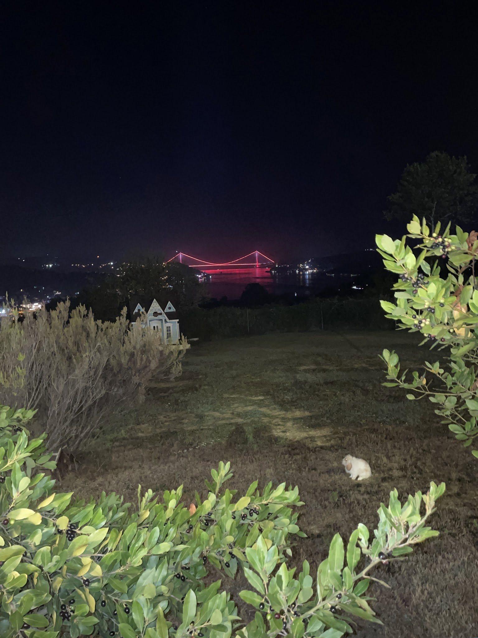 Bogaztepe Restaurant