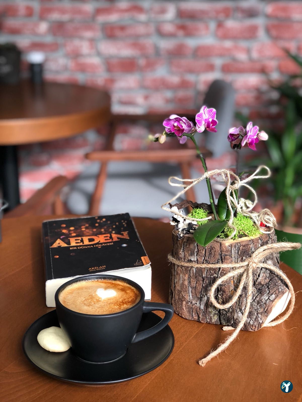 The Cups Coffee House