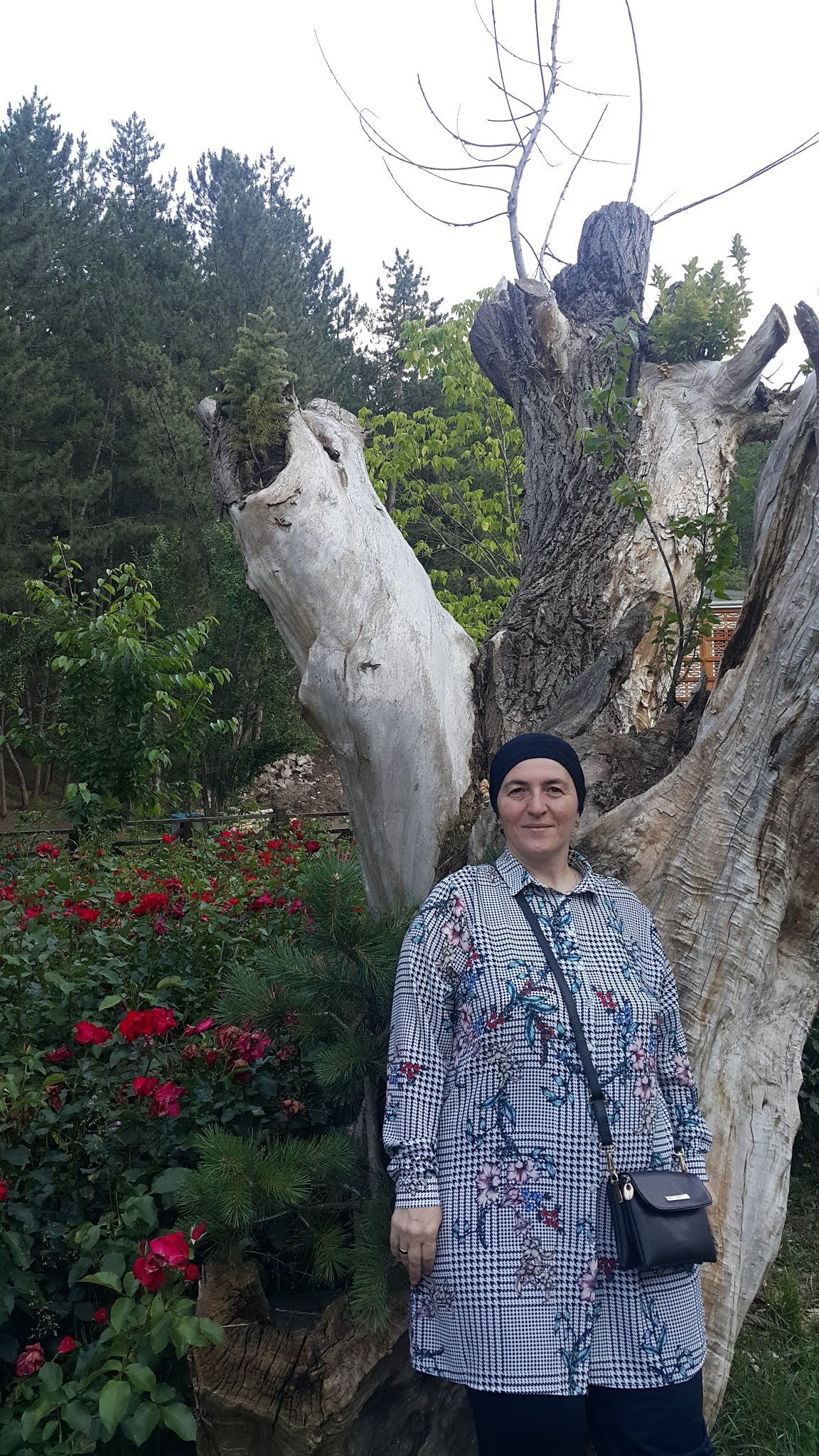 Dayinin Yeri Izgara Evi