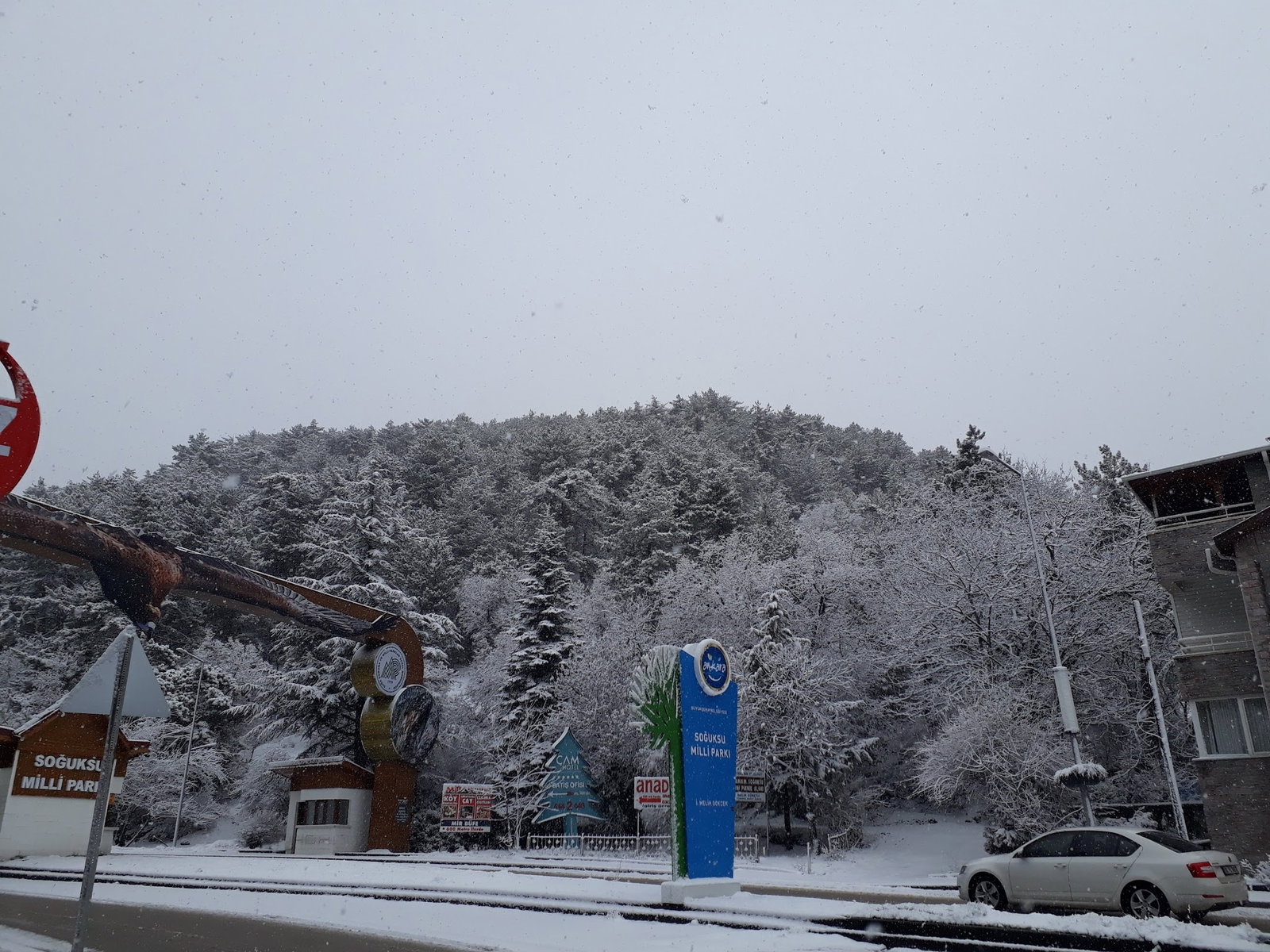 Dayinin Yeri Izgara Evi