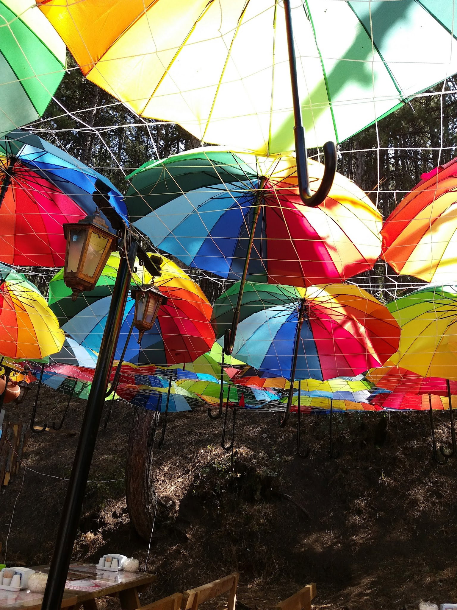 Dayinin Yeri Izgara Evi