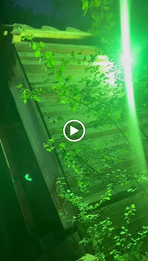 Dayinin Yeri Izgara Evi