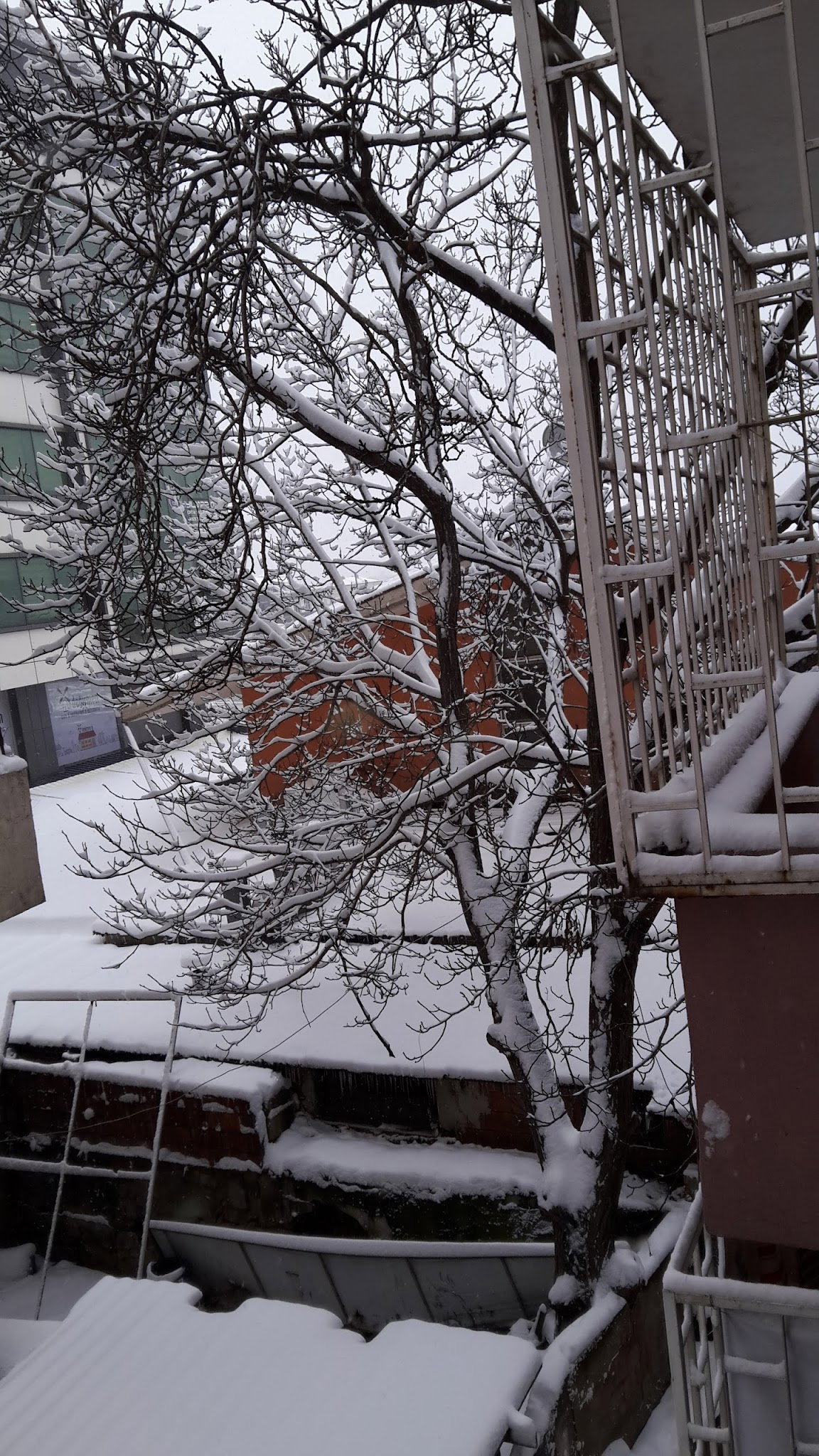 Pusula Cafe & Restaurant