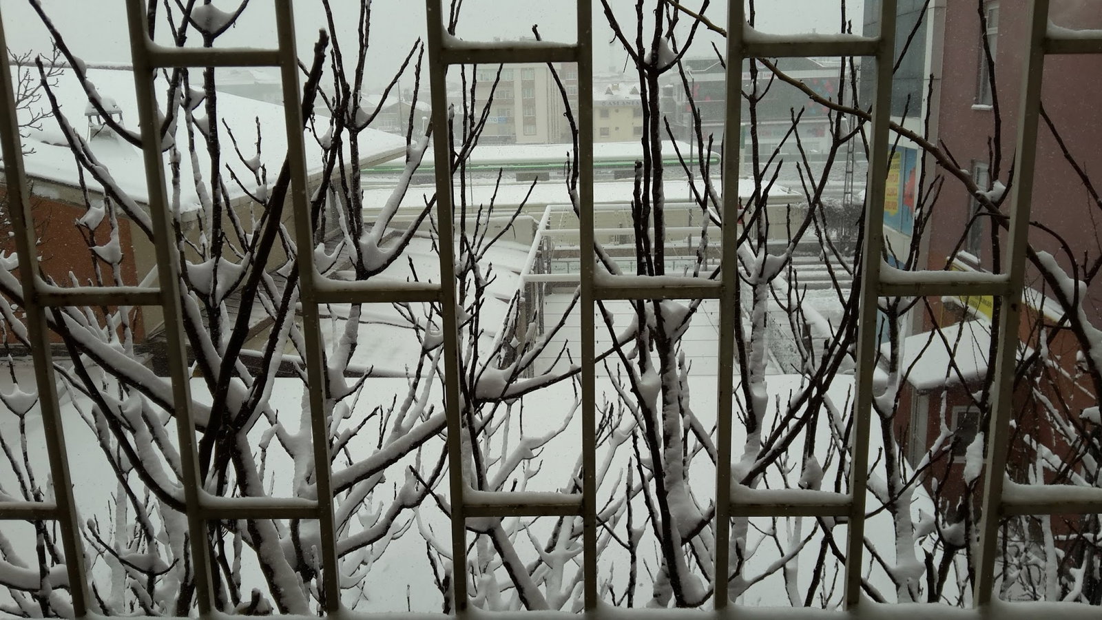 Pusula Cafe & Restaurant