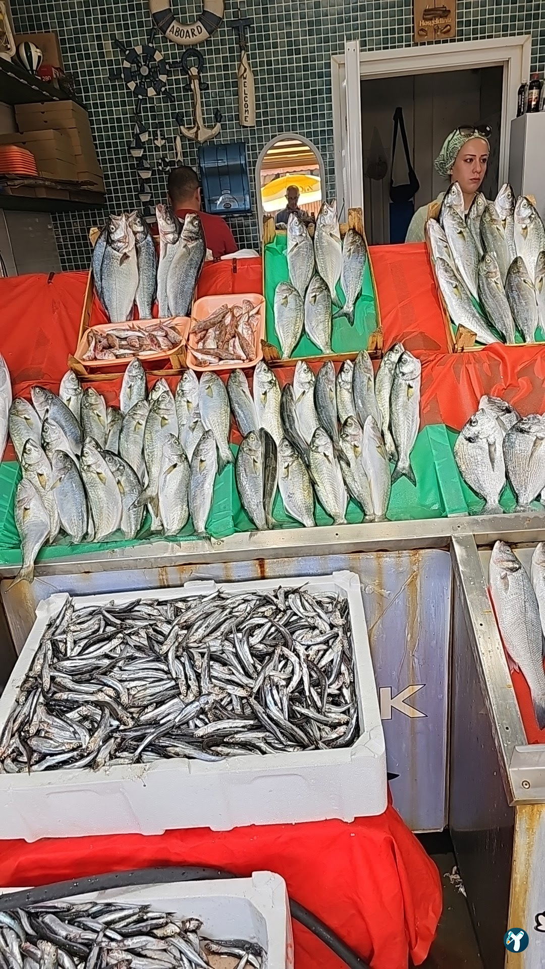Orni Balıkçılık
