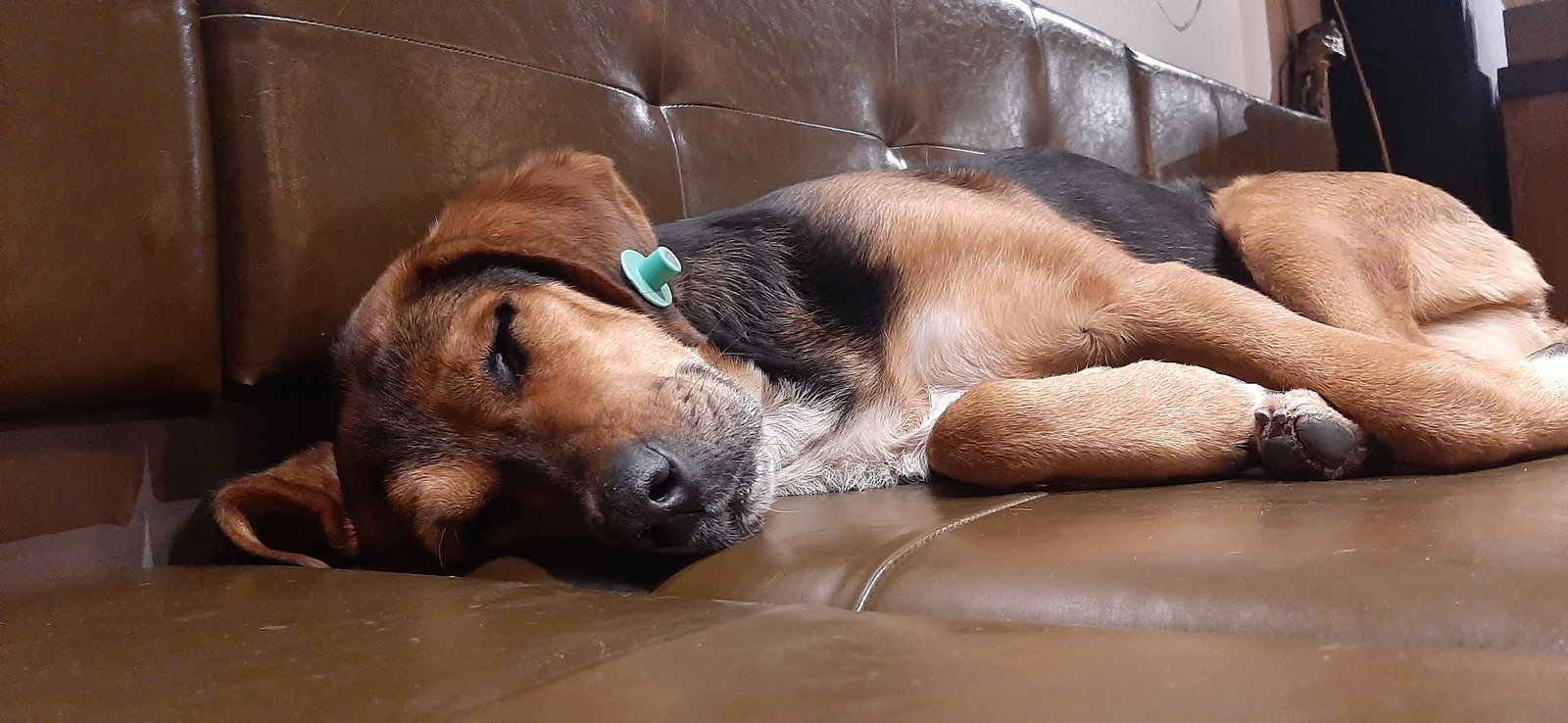 Nocknock Coffee İdealtepe