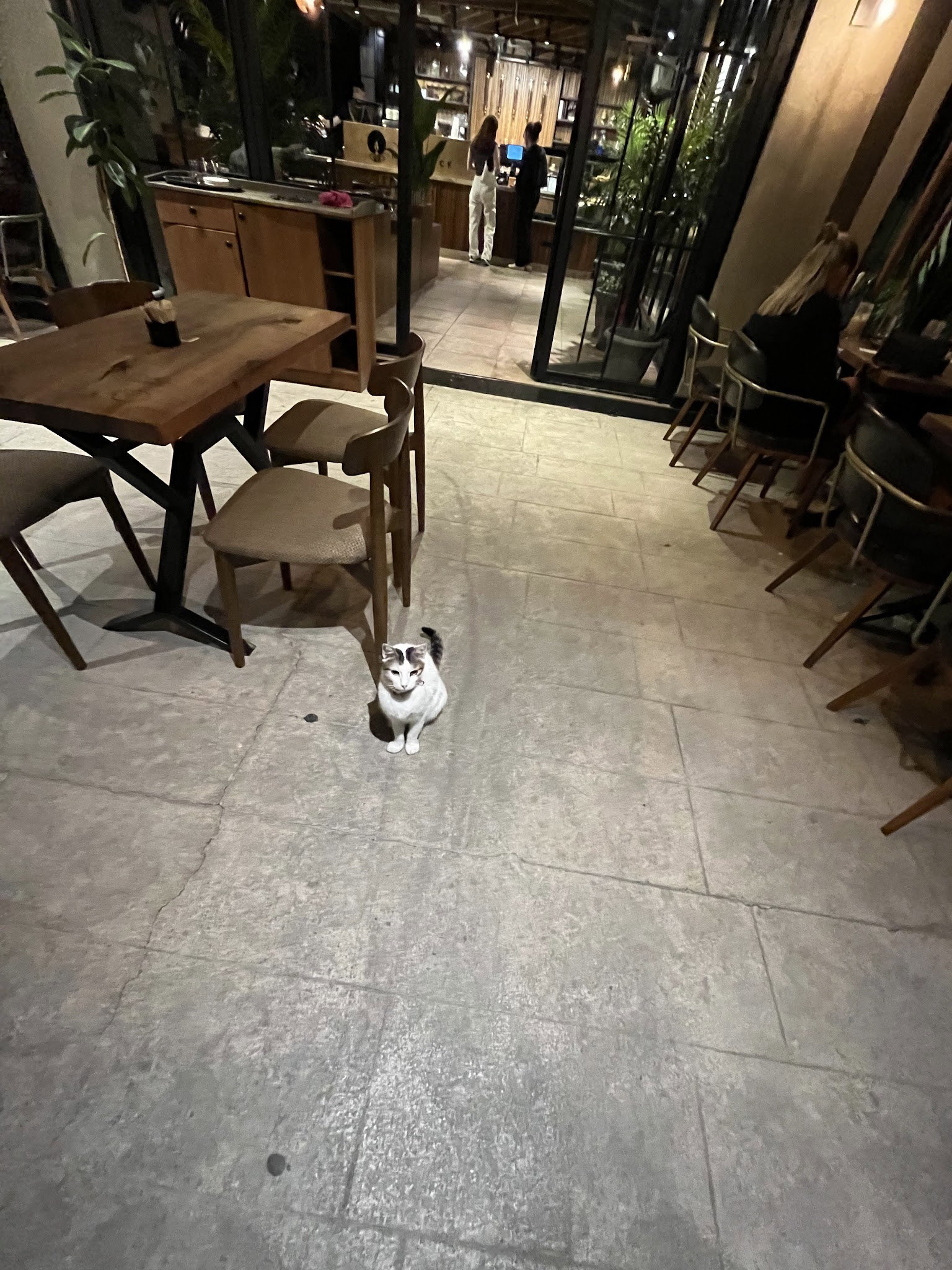 Nocknock Coffee İdealtepe