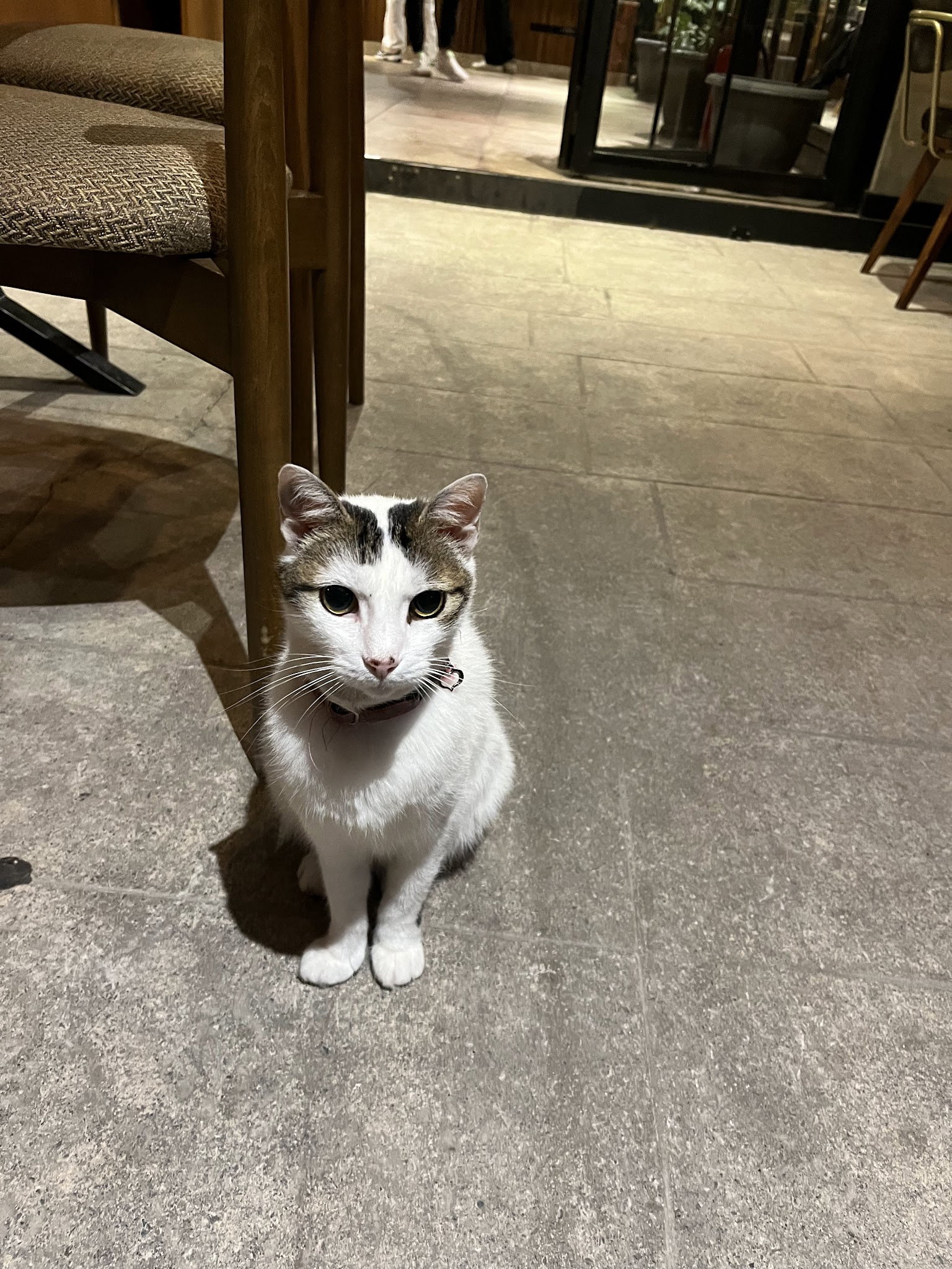 Nocknock Coffee İdealtepe