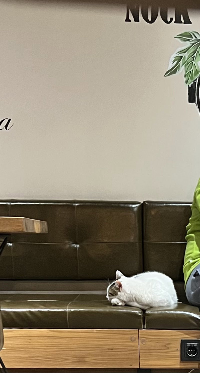 Nocknock Coffee İdealtepe