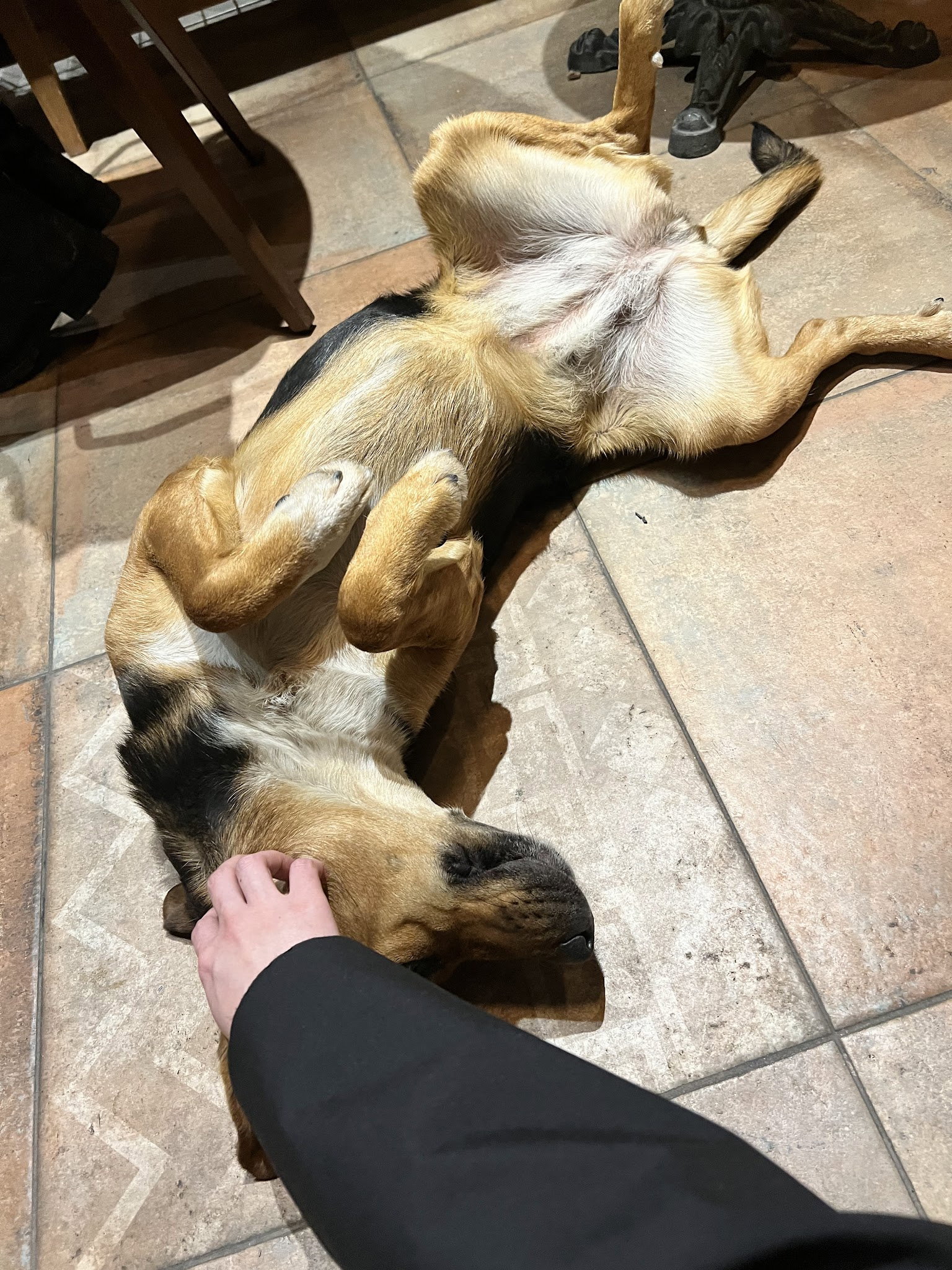 Nocknock Coffee İdealtepe