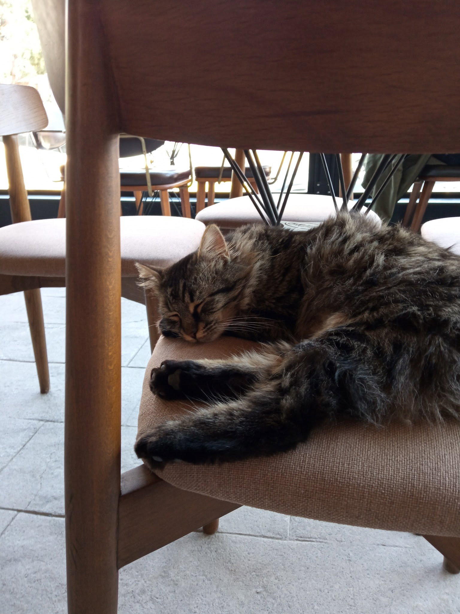 Nocknock Coffee İdealtepe