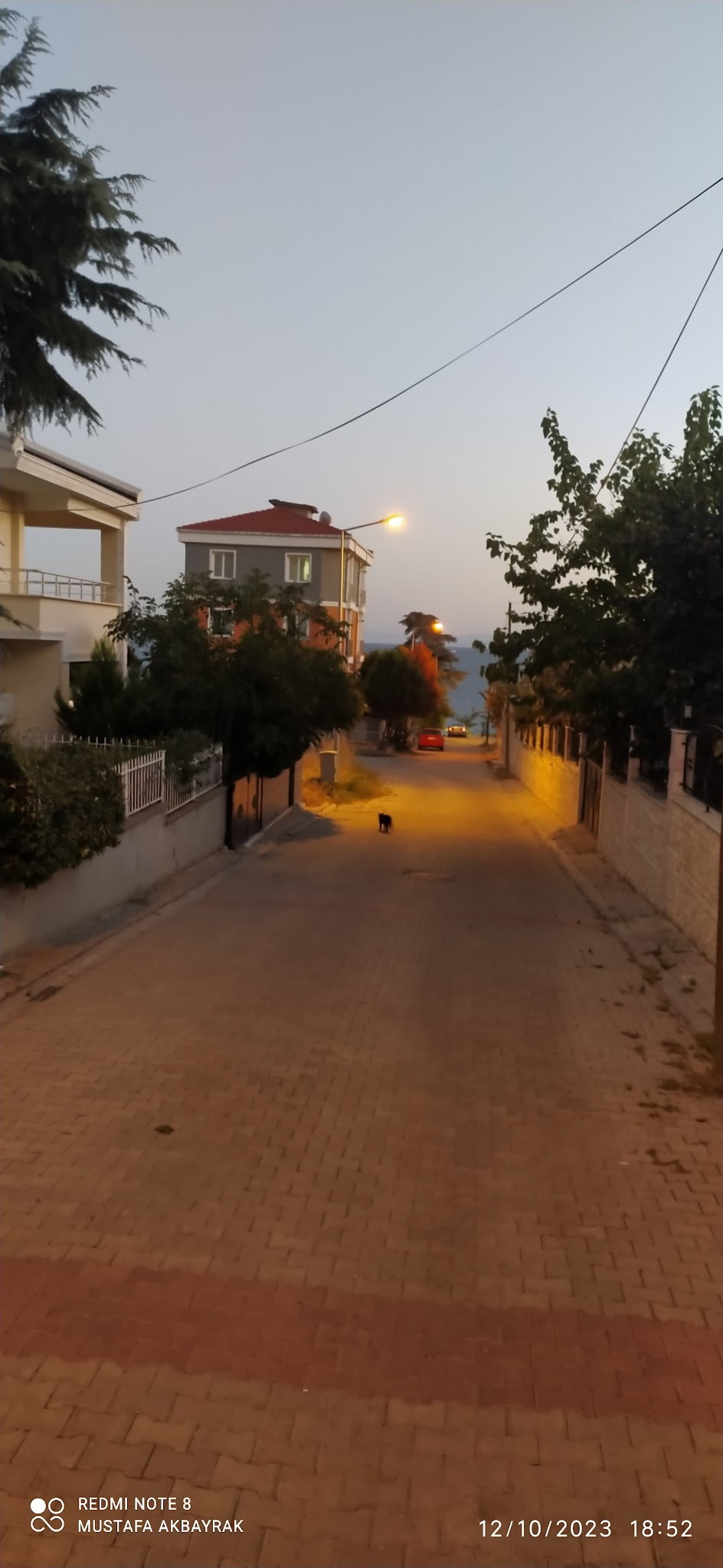 Tekirbağ