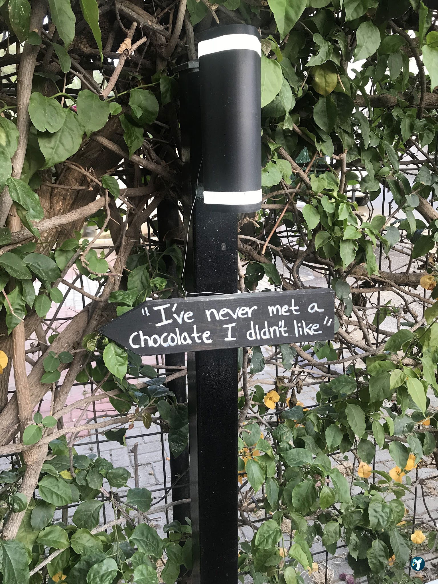 A Different Taste