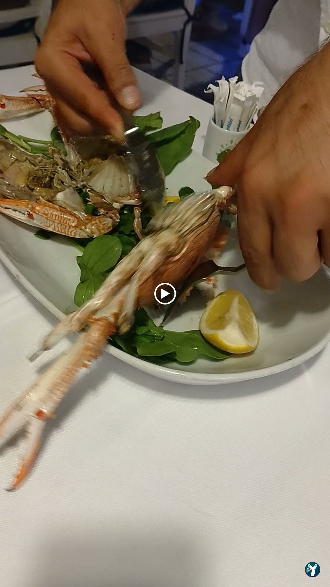 Bodrum Körfez Restaurant