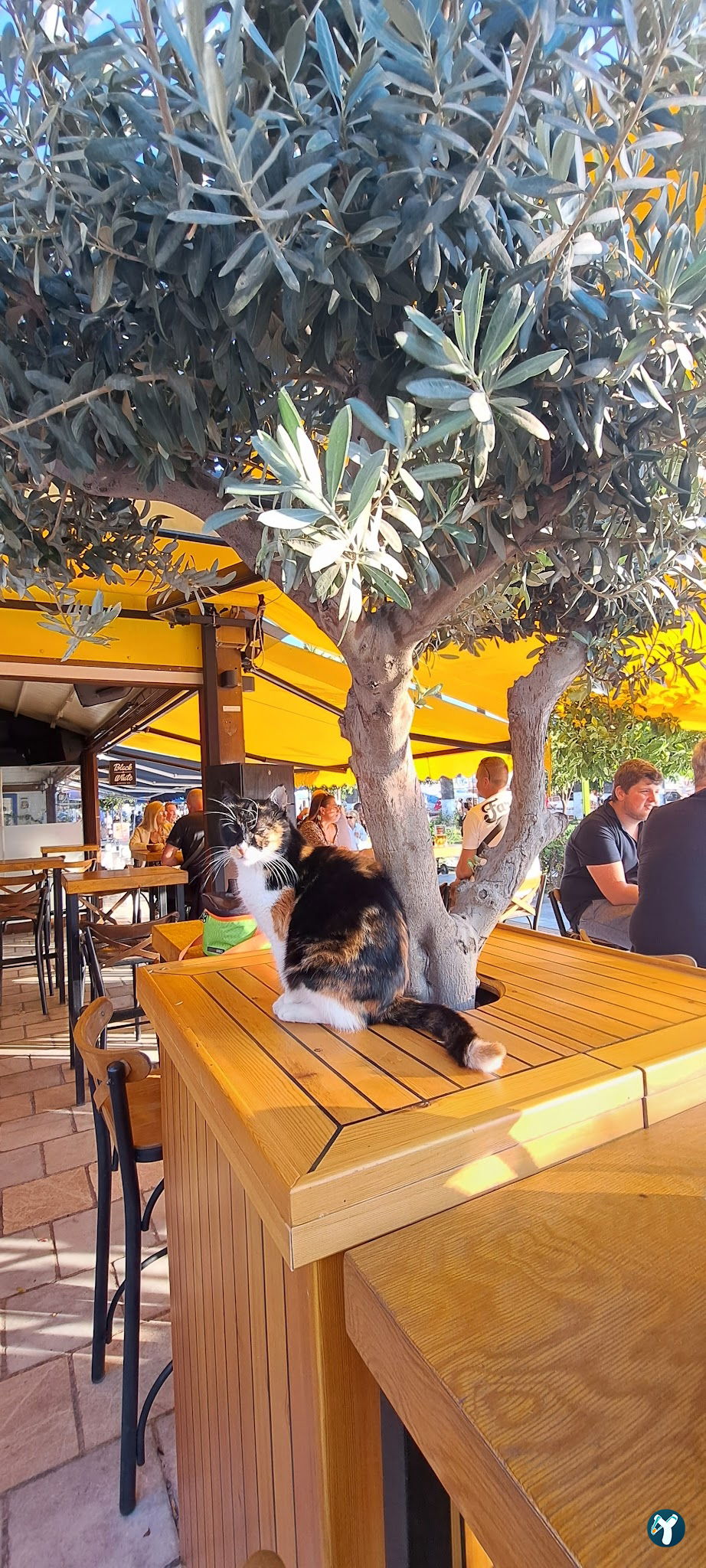 Bodrum Körfez Restaurant