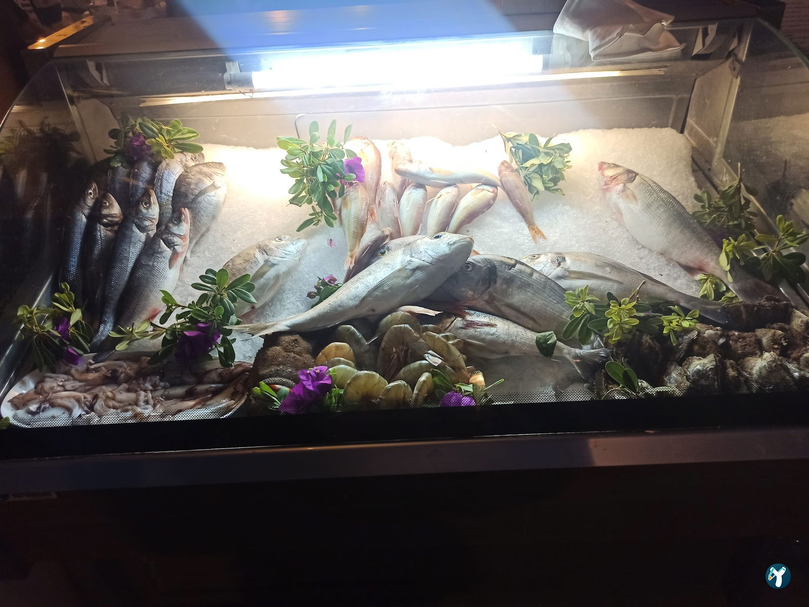 Bodrum Körfez Restaurant