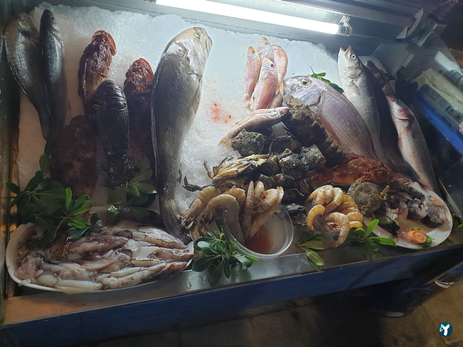 Bodrum Körfez Restaurant