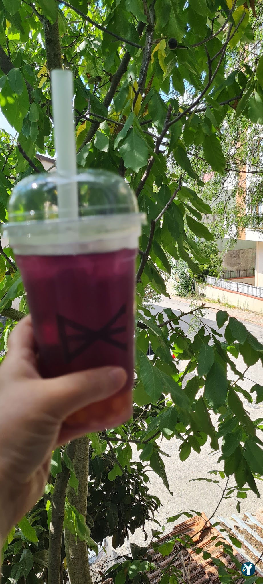 Bex Coffee