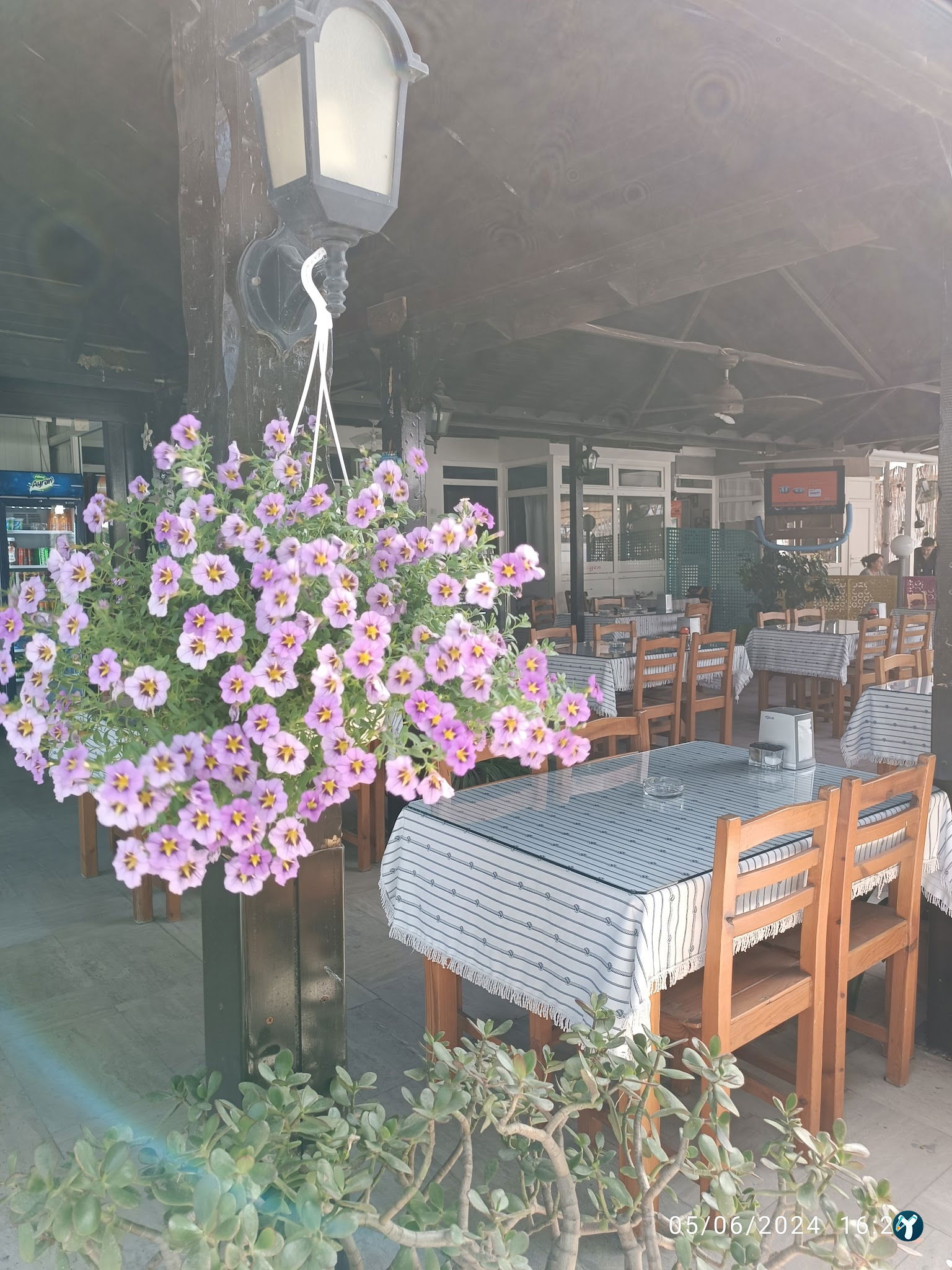 Tıkıntı Restaurant Türkbükü