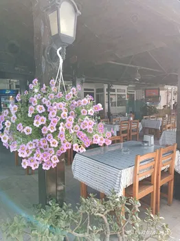 Tıkıntı Restaurant Türkbükü resimleri