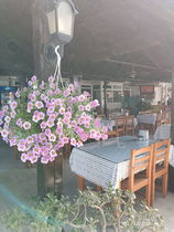 Tıkıntı Restaurant Türkbükü