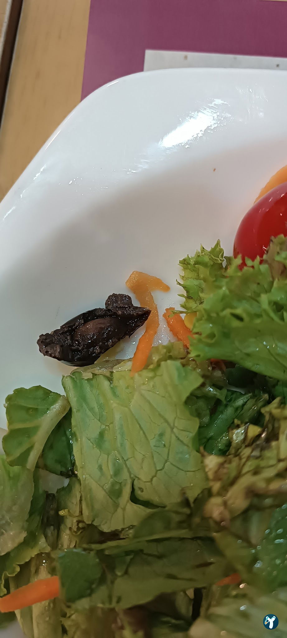 Tavuk Dünyası Konya Zafer Caddesi