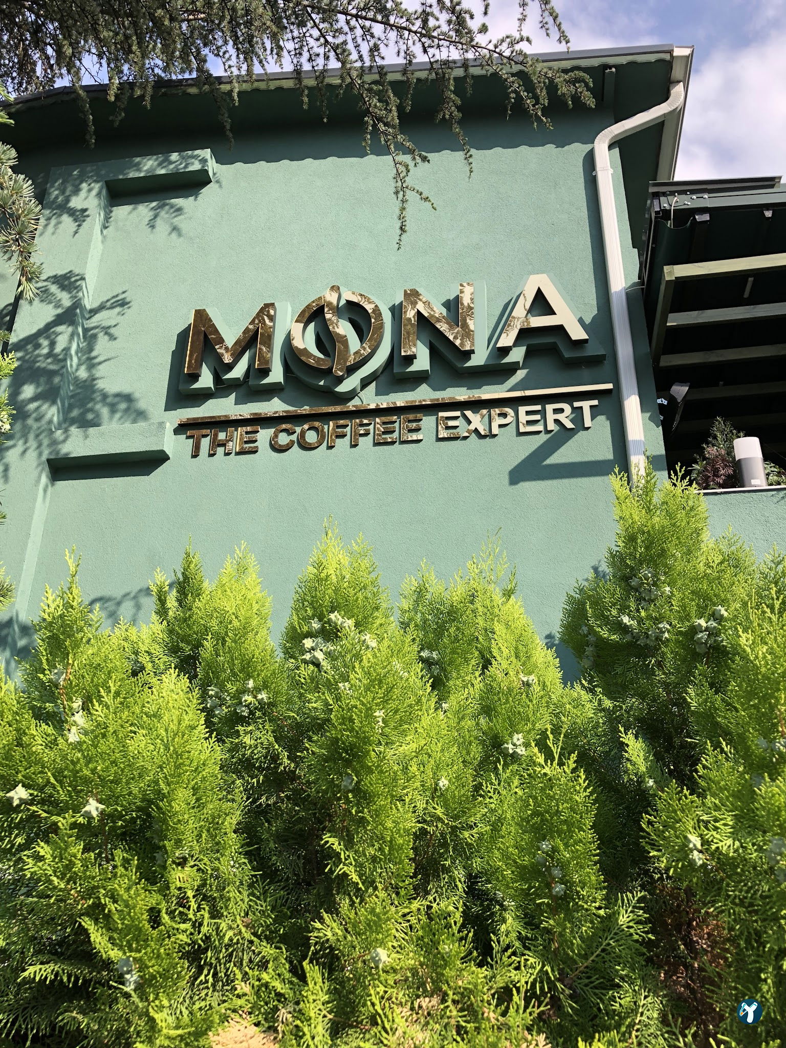 Mona The Coffee Expert Ümitköy