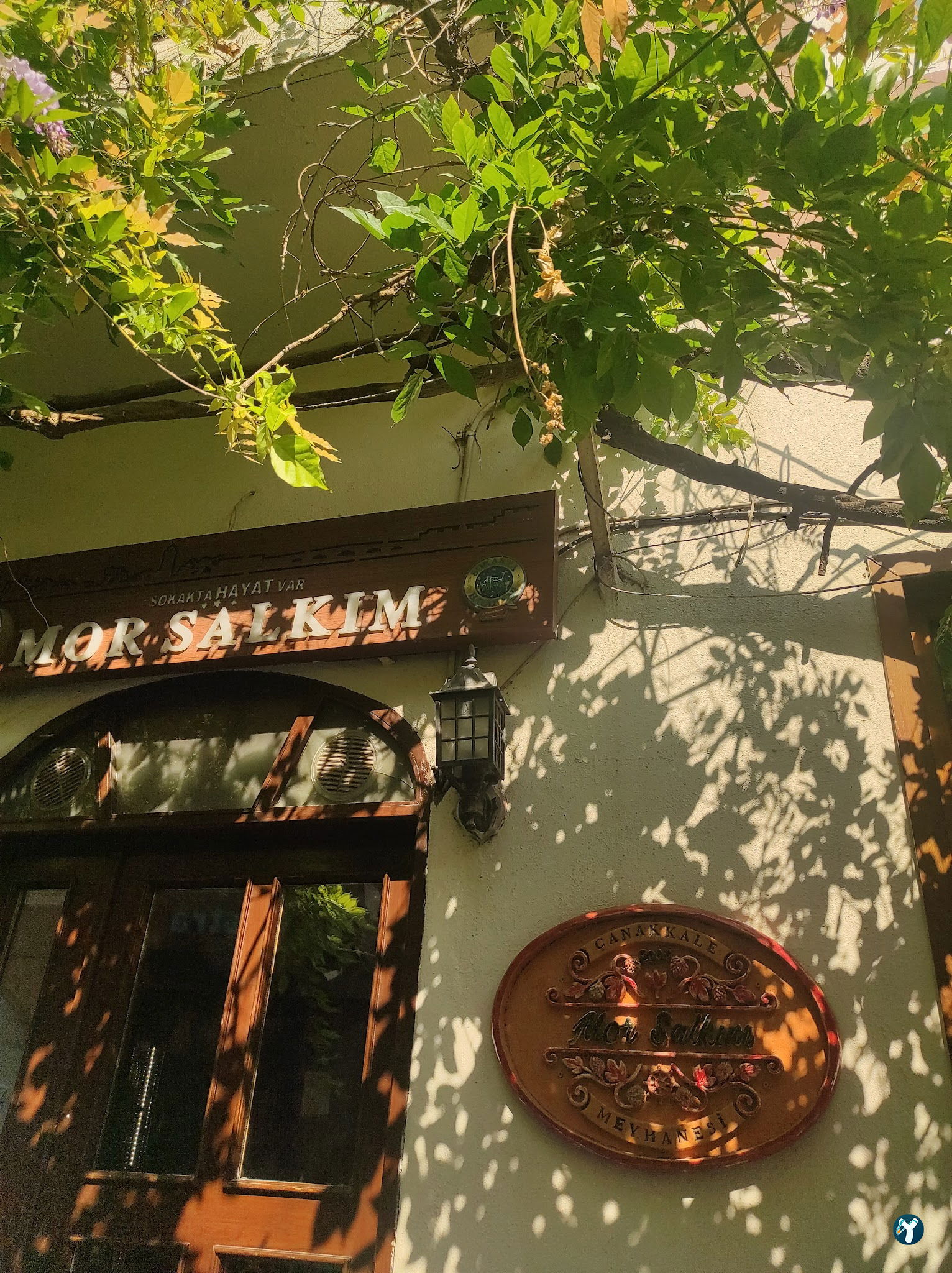 Mor Salkım Meyhanesi