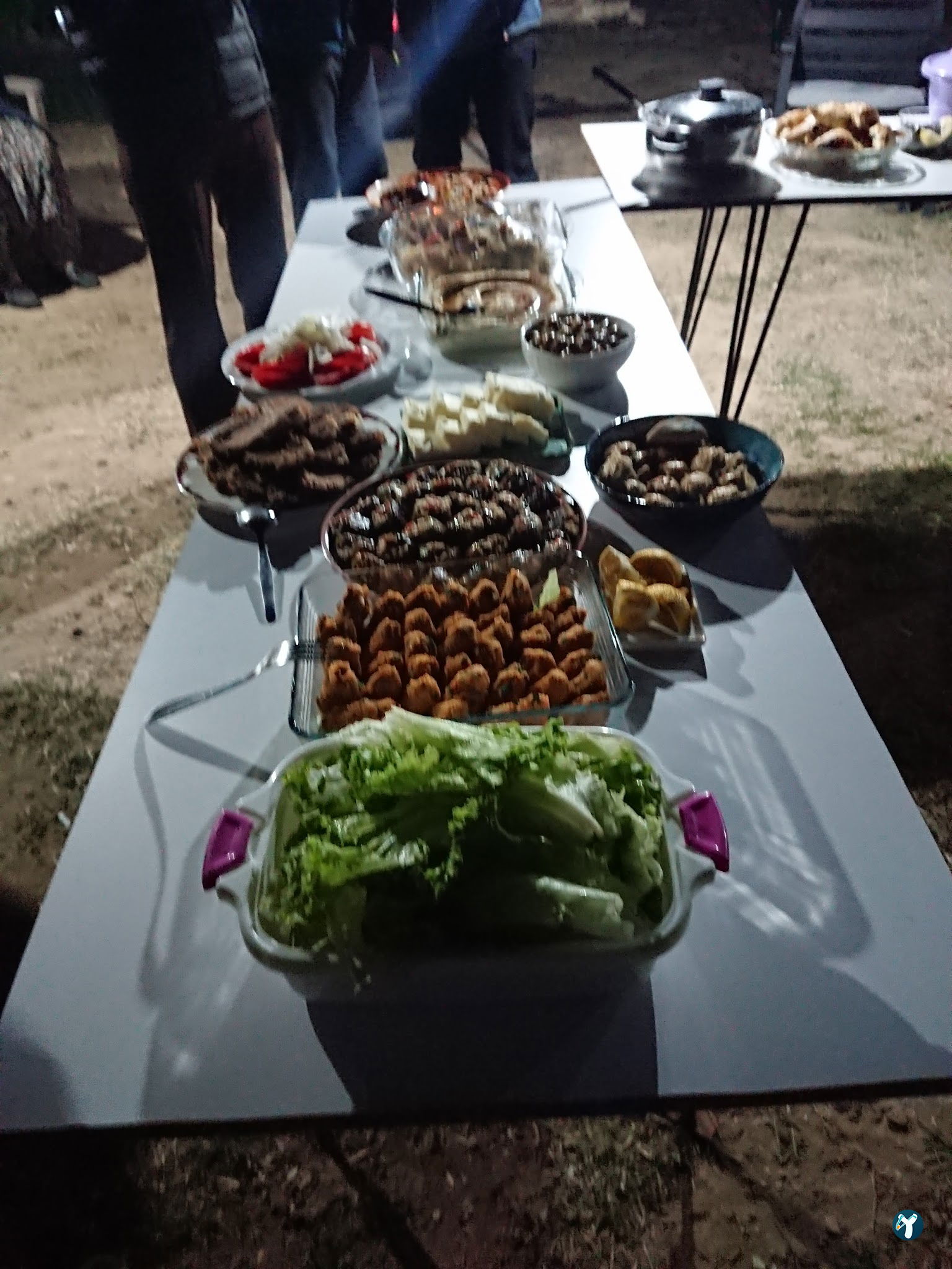 Mor Salkım Meyhanesi