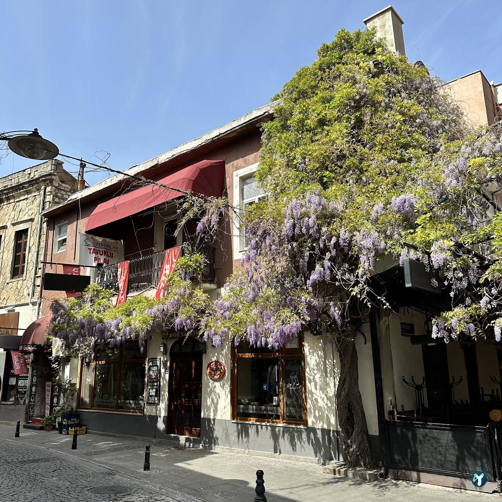 Mor Salkım Meyhanesi