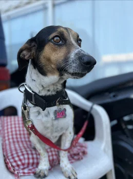 Zirve Cafe resimleri