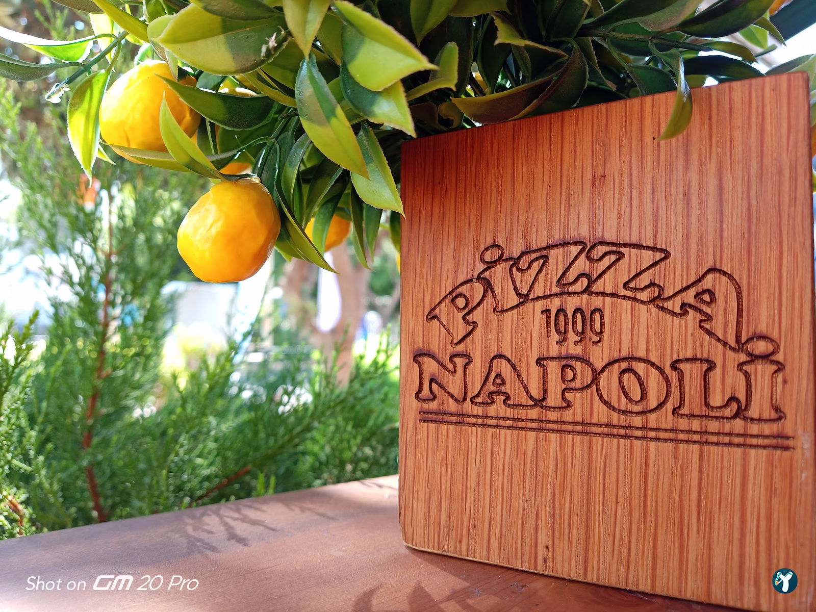 Pizza Napoli