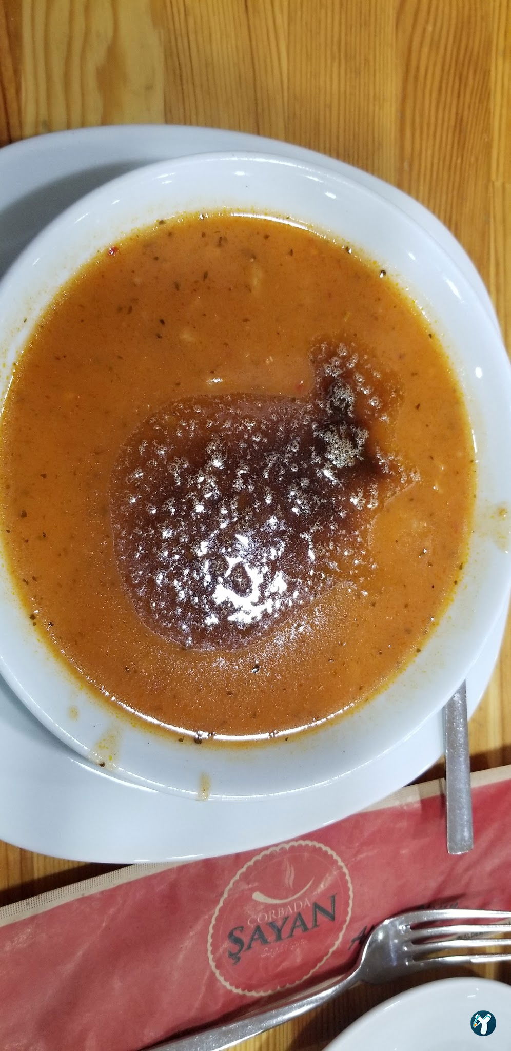 Çorbada Şayan