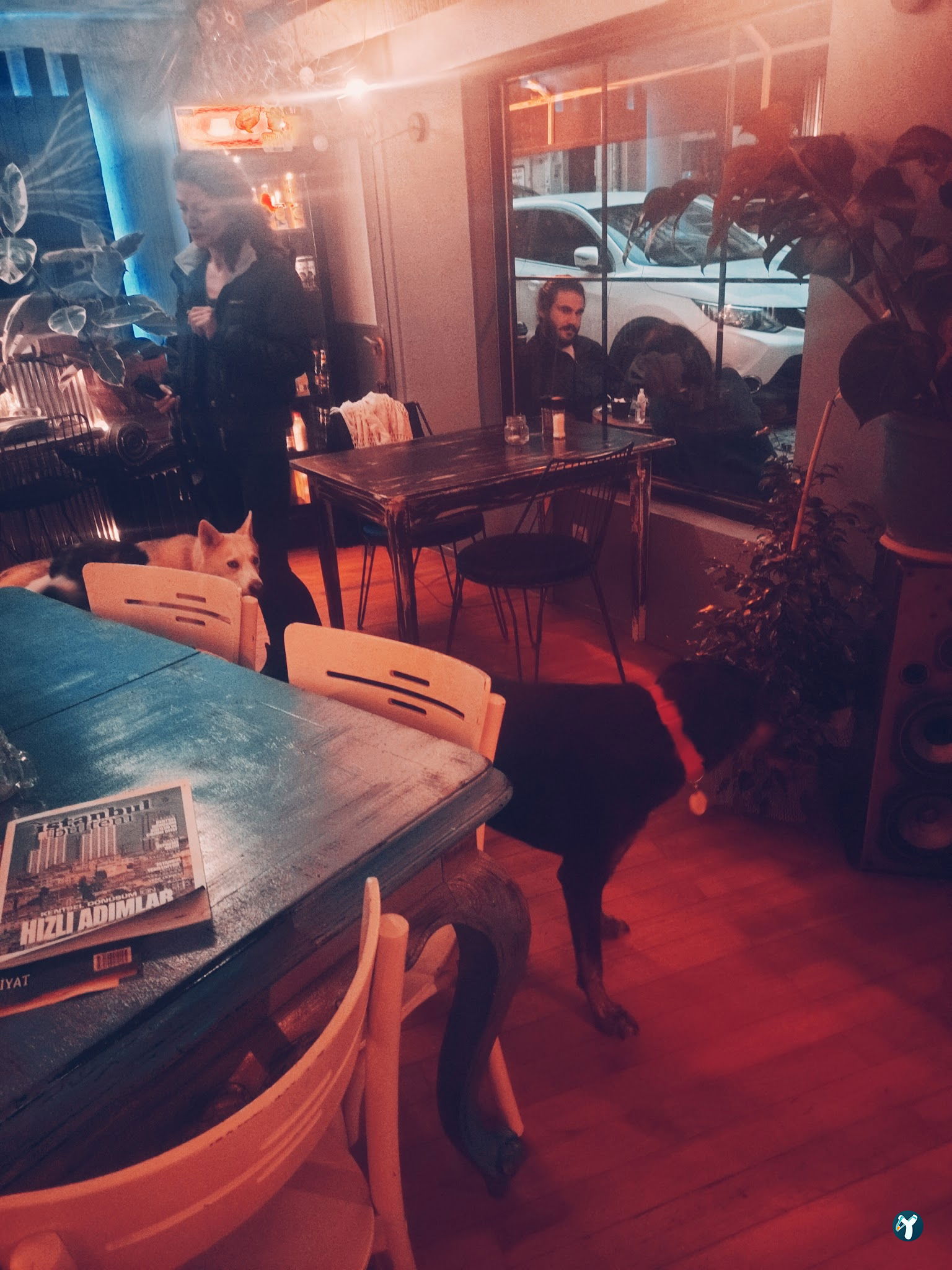 Bykush Sokak - Burger , Coffee & Dessert | Kadıköy Moda Kahve & Cafe