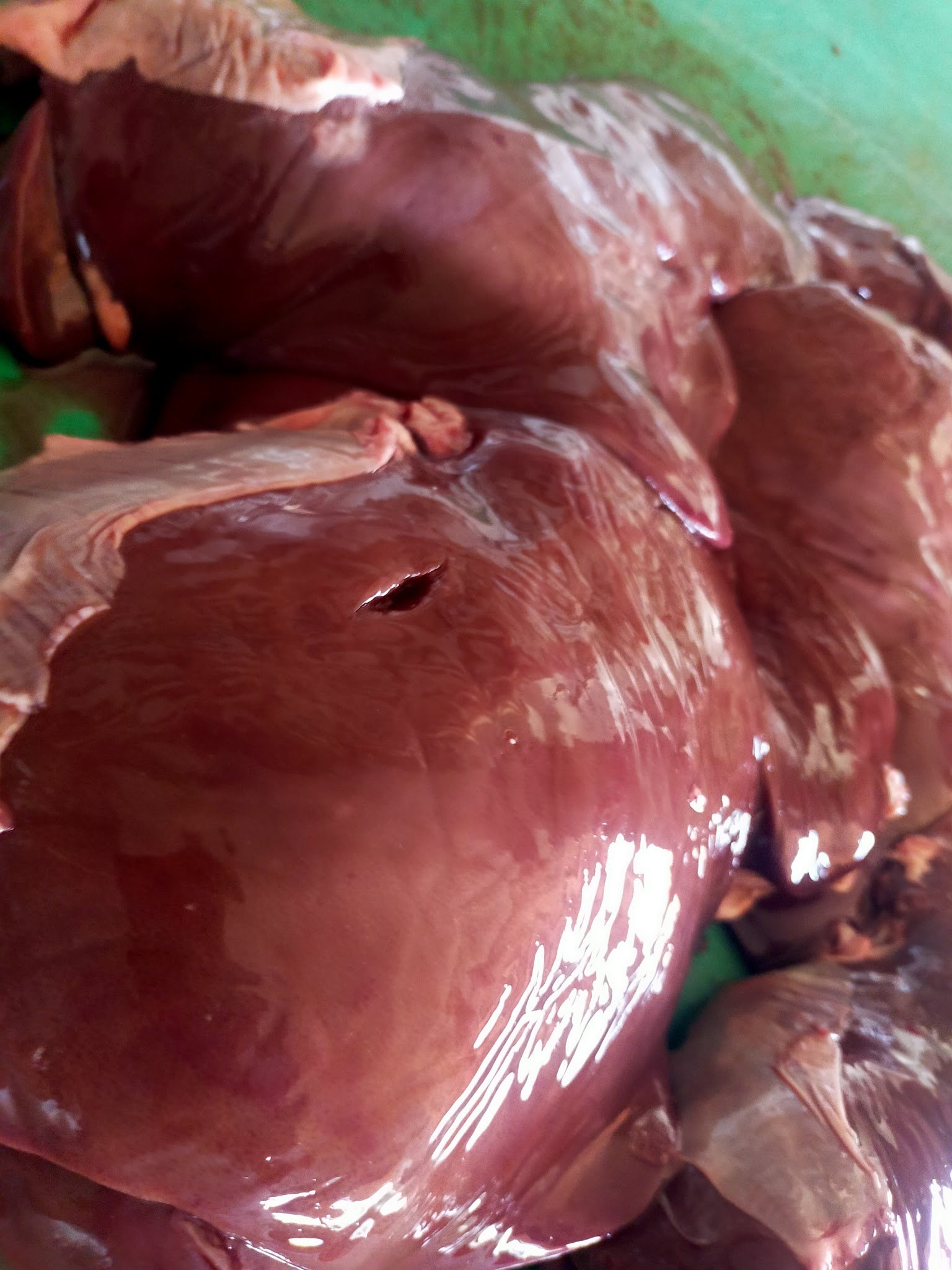 Soylu Adana Ocakbaşı