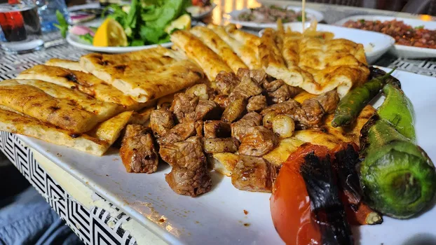 Abidin Usta resimleri