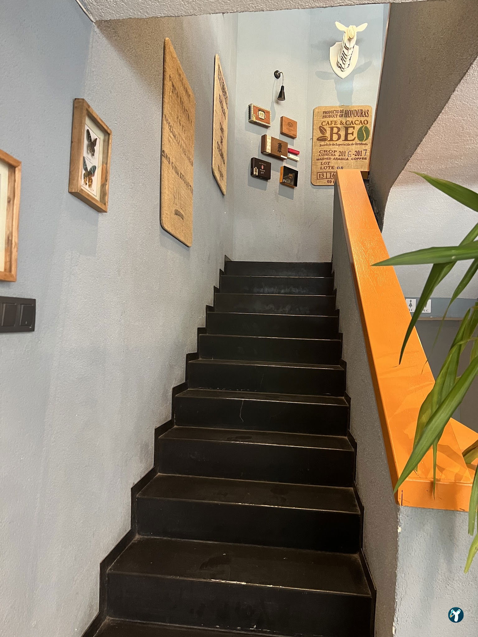 Quito Coffee